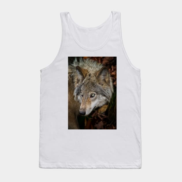Timber Wolf Tank Top by jaydee1400